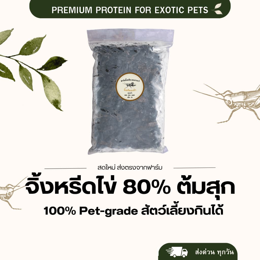 จิ้งหรีดไข่ แมลงแช่แข็ง สําหรับสัตว์เลี้ยง