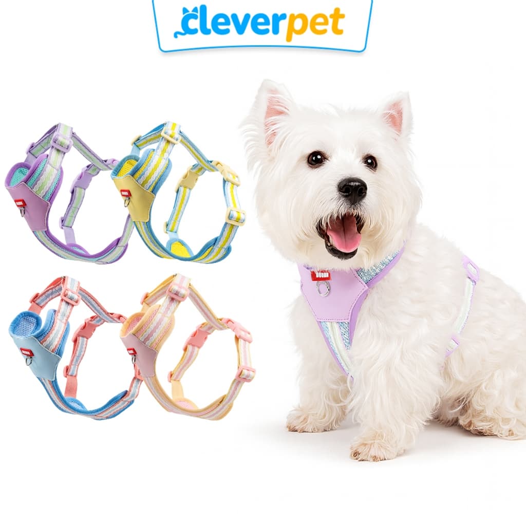 DUOMM สายรัดอกสุนัข เสื้อรัดอกหมา สีพาสเทล ระบายความร้อน Dog Harness Cleverpet