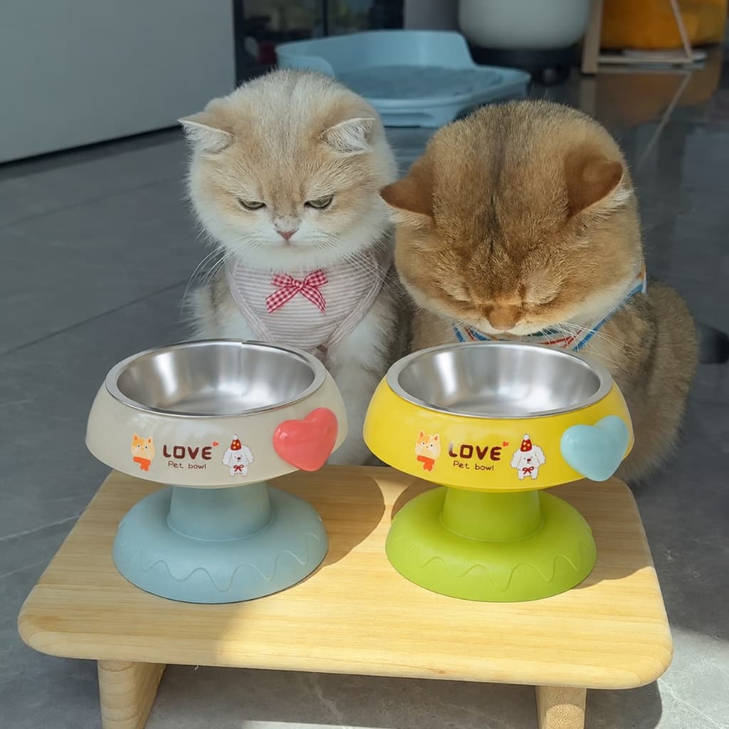 ชามอาหารแมวสุนัขยกสูง ชามสแตนเลส ถอดล้างได้ ฐานกันลื่น มินิมอล น่ารัก ชามใส่อาหารและน้ํา ถ้วยอาหารแมว ราคาถูก…