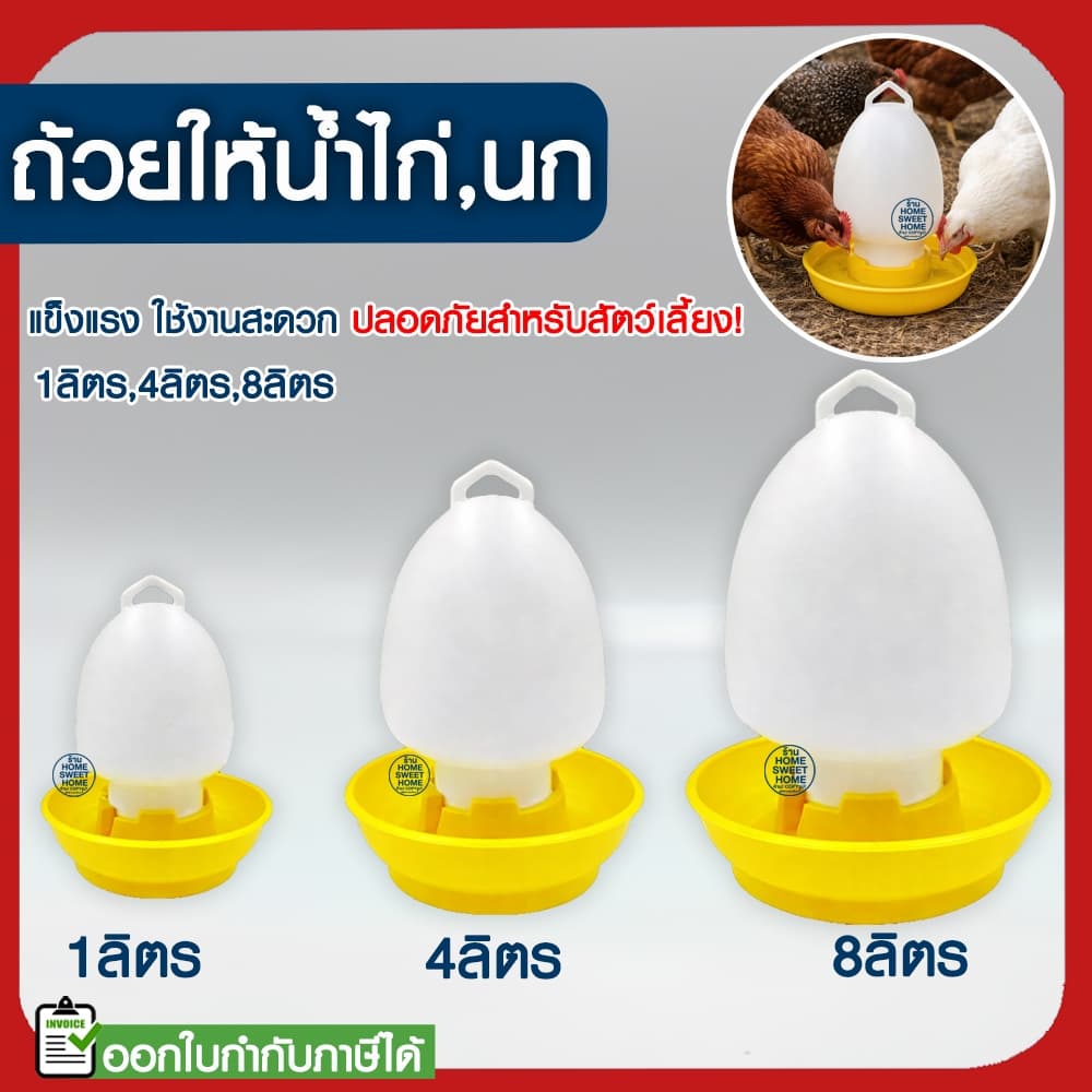 *ค่าส่งถูก* ขวดน้ําไก่ ถังน้ําไก่ ที่ใส่น้ําสําหรับเลี้ยงไก่ กระติกน้ําไก่ เลี้ยงไก่ ขวดน้ํานก เลี้ยงนก…