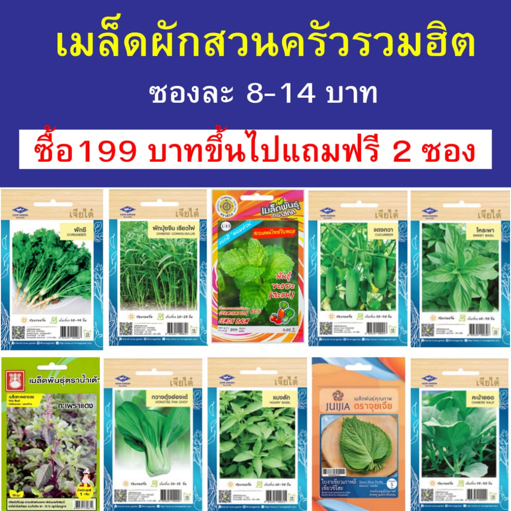 เมล็ดผักสวนครัว ซองละ 8-14 บาท ซื้อ 199 บาทขึ้นไปแถมฟรี 2 ซอง