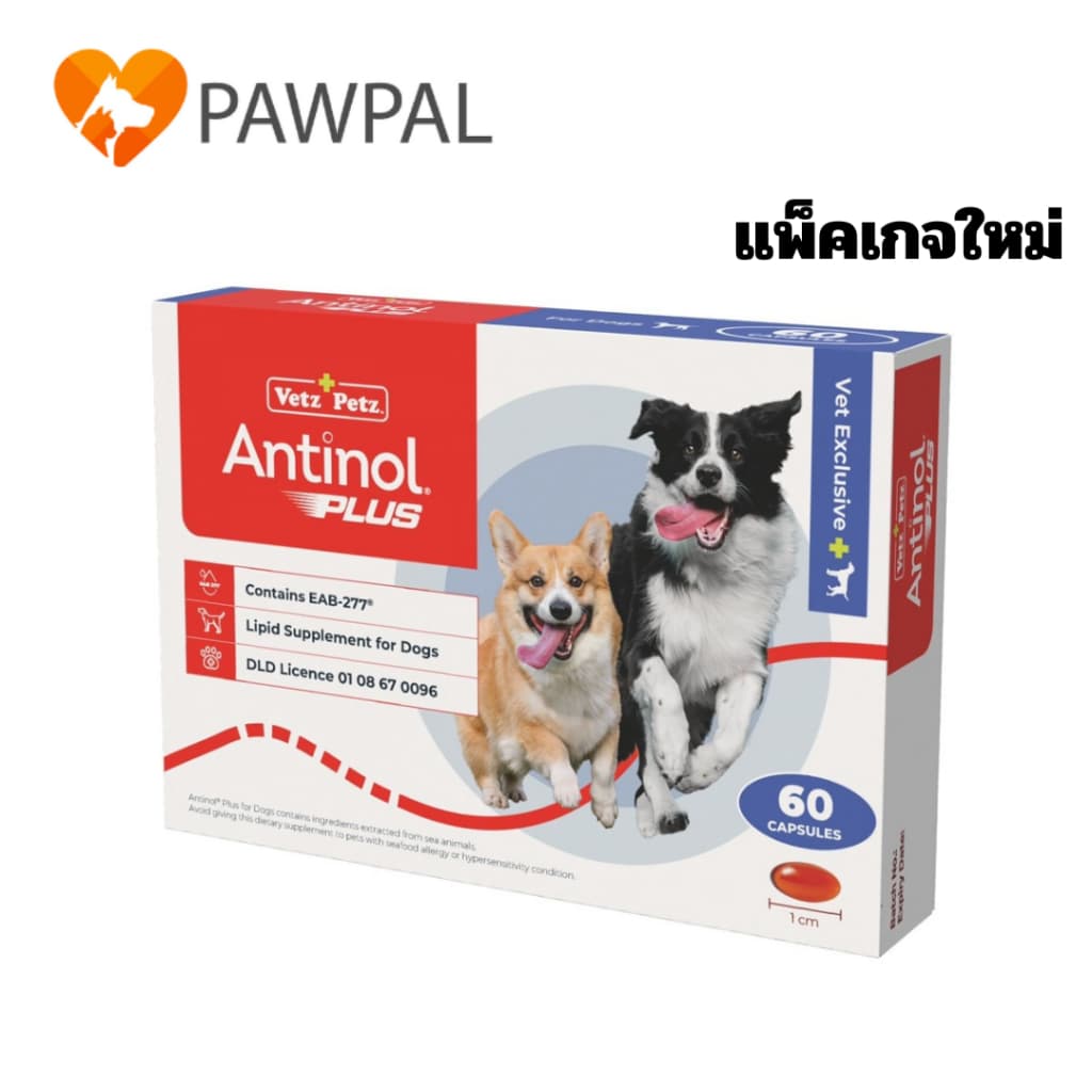Antinol Dog ของแท้ ล็อตใหม่ Exp.2029 อาหารเสริม บํารุงข้อ ลดอักเสบ สุนัข แมว