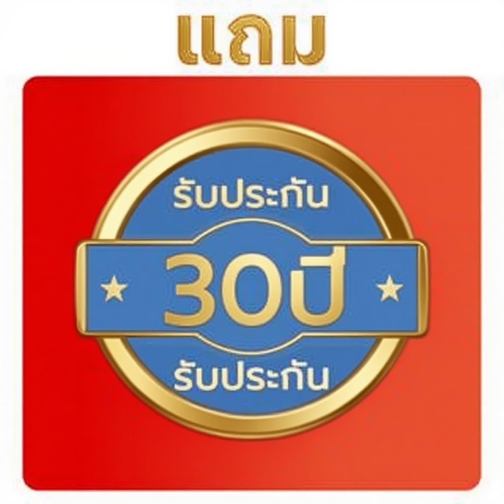 คําอธิบายของอุปกรณ์โคมไฟ รับประกันคุณภาพ 30