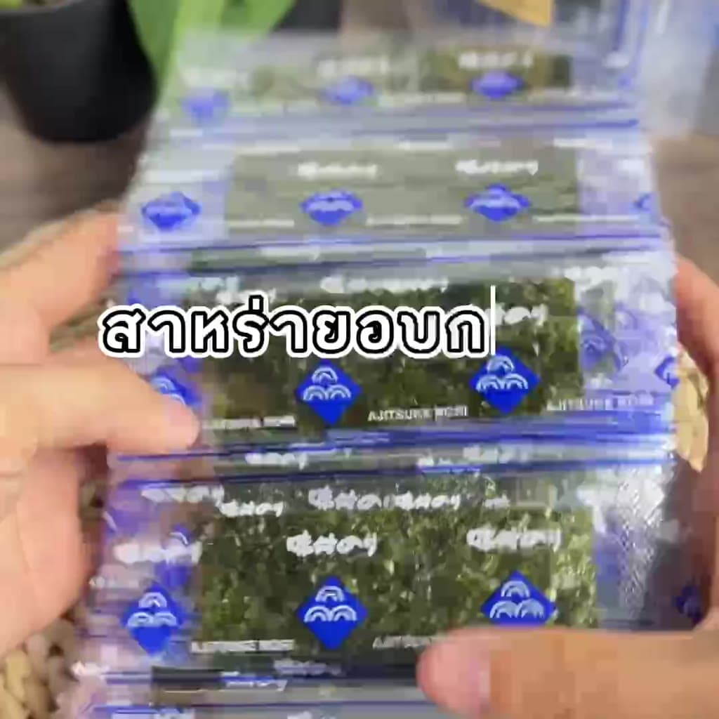 สาหร่ายแผ่น สาหร่ายแห้ง สาหร่ายทะเลปรุงรส 96-384แผ่น สาหร่ายห่อข้าว (แพ็ค 48-192ซอง/1ซองมี 2แผ่น)