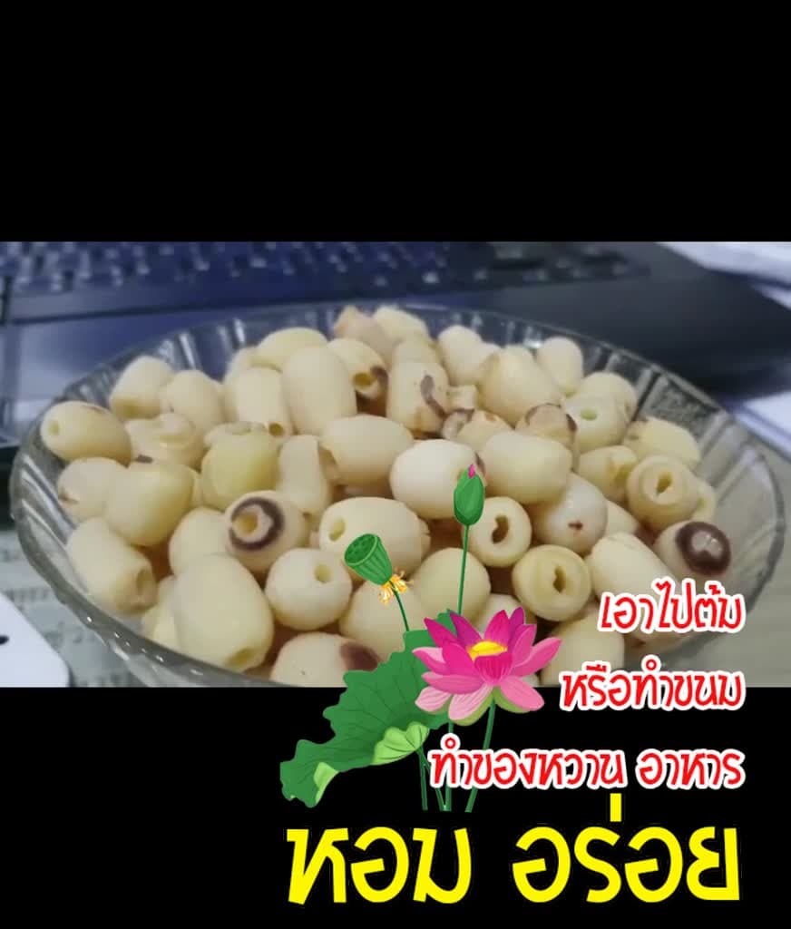 เม็ดบัวแห้ง(ใช้ทําอาหาร/ขนม) 500กรัม & 1กิโล /วัตถุดิบทําอาหาร/ขนม (เม็ดบัว อาหารแห้ง อาหารเจ อบแห้ง) รูปที่ 1