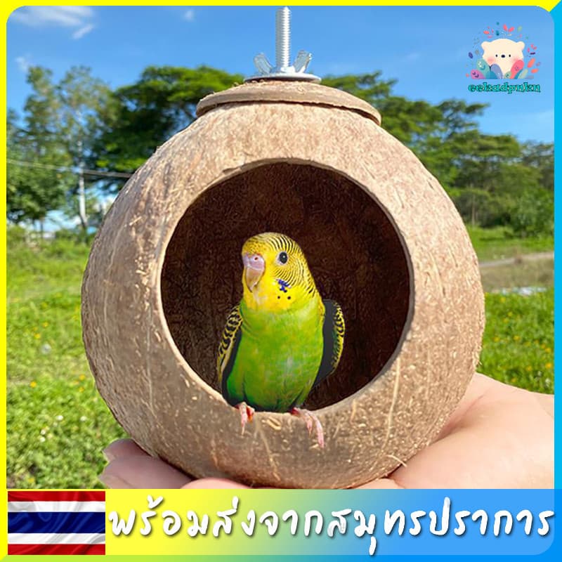 บ้านนกแบบแขวน บ้านนกแก้วเล็ก บ้านนกหงษ์หยก บ้านนก รังนก บ้านกะลา บ้านนกฟอฟัส บ้านนกธรรมชาติ รูปที่ 1