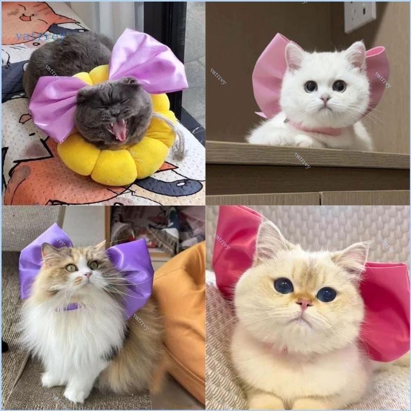 VA Regulable Grooming สัตว์เลี้ยง Bowties แฟชั่นผีเสื้อ Embellishments สัตว์เลี้ยง Bowties สําหรับสัตว์เลี้ยง… รูปที่ 1