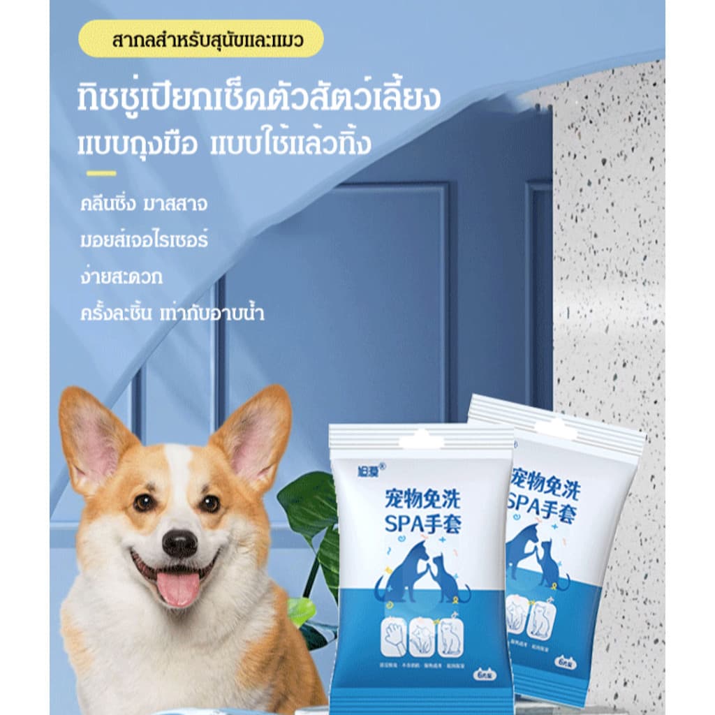 ถุงมือทิชชู่เปียกสปาสัตว์เลี้ยงแบบไม่ต้องล้างออก ถุงมือสัตว์เลี้ยง/ทิชชู่เปียกสัตว์เลี้ยง/ทำความสะอาดสุนัขแมว/… รูปที่ 1