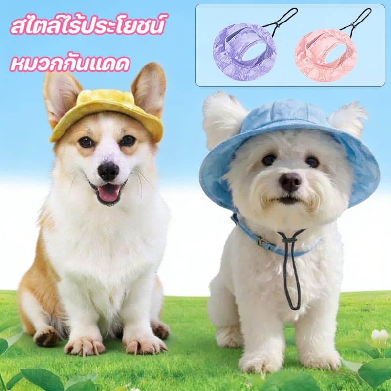 หมวกฤดูร้อนสัตว์เลี้ยง หมวกฤดูร้อนสัตว์เลี้ยง หมวกสัตว์เลี้ยง หมวกบักเกิลกันแดด สัตว์เลี้ยงแต่งตัว รูปที่ 1