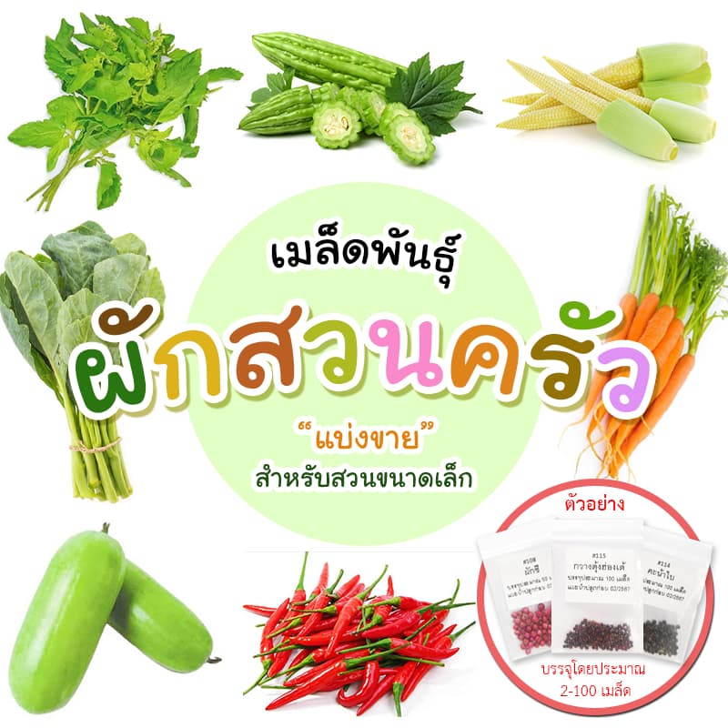 เมล็ดผักสวนครัว แบ่งขาย เหมาะสำหรับทดลองปลูกหรือสวนขนาดเล็ก