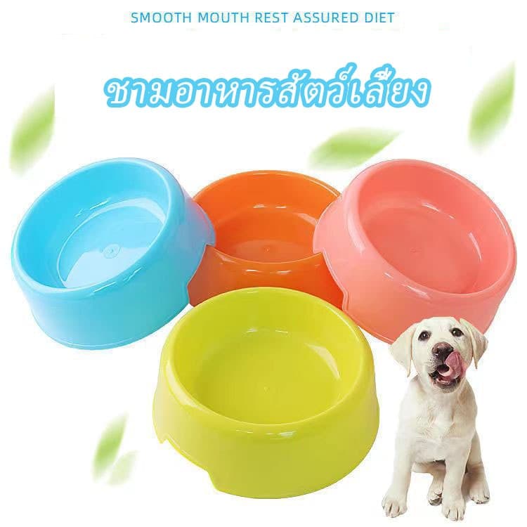 ชามอาหารสัตว์เลี้ยง หมา แมว ชามใส่อาหารสำหรับสัตว์เลี้ยง ที่ใส่อาหารสัตว์เลี้ยง14x5.5ซม ที่ใส่อาหารสัตว์เลี้ยง รูปที่ 1
