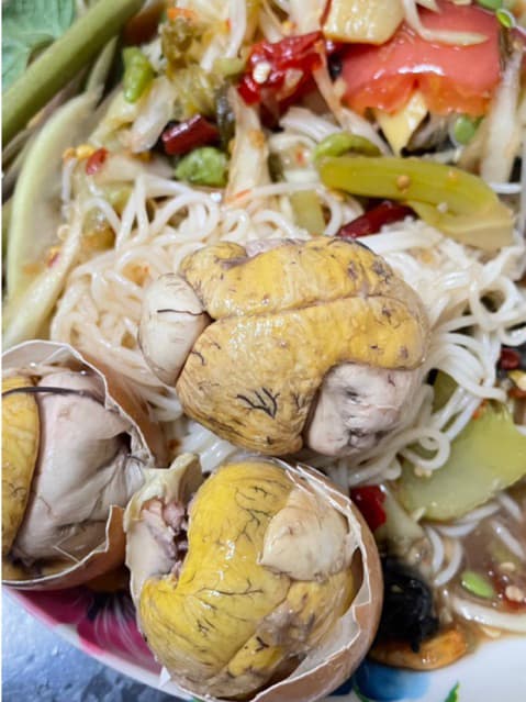 ไข่ลูกไก่อ่อนแม่ฟาง ไข่ลูกไก่ ไข่ลูกไก่ระยะ2สุกพร้อมทาน ไข่ลูกไก่ ไข่ฮ้างฮัง ไข่ลูกไก่สุกกำลังทานไข่ลูกไก่อ่อน รูปที่ 1