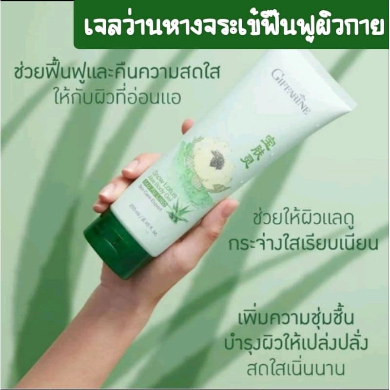 เจลว่านหางจรเข้ บำรุงผิวกาย โลชั่นฟื้นฟูผิวกาย กิฟฟารีน สโนว์ โลตัส-อโล บอดี้ เจล Giffarine Snow Lotus-Aloe… รูปที่ 1