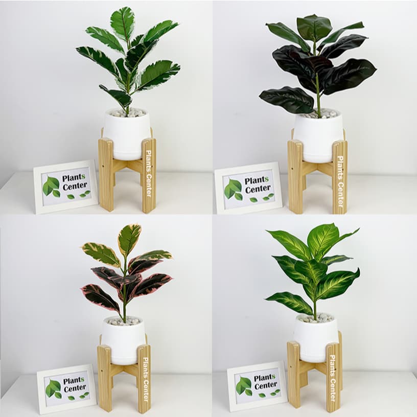 Plants Center P008 ต้นไม้ปลอม 9ใบ สูง 45-55ซม รวมไม้ยอดนิยม ไม้มงคล ตกแต่งบ้าน แต่งสวน รูปที่ 1