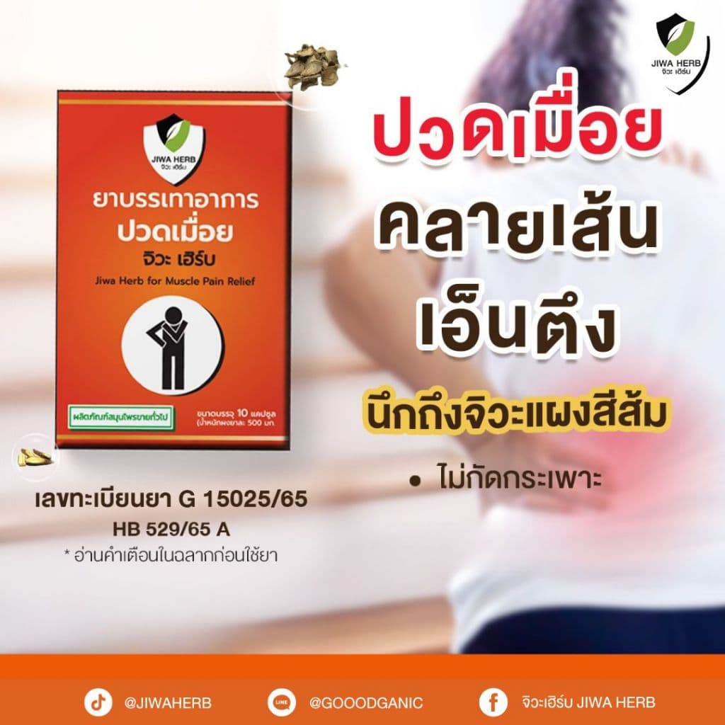 ยาบรรเทาอาการปวดเมื่อย สมุนไพรแก้ปวดเมื่อย ทานแล้วไม่กัดกระเพาะ ยาสามัญประจำบ้าน : จิวะเฮิร์บ รูปที่ 1