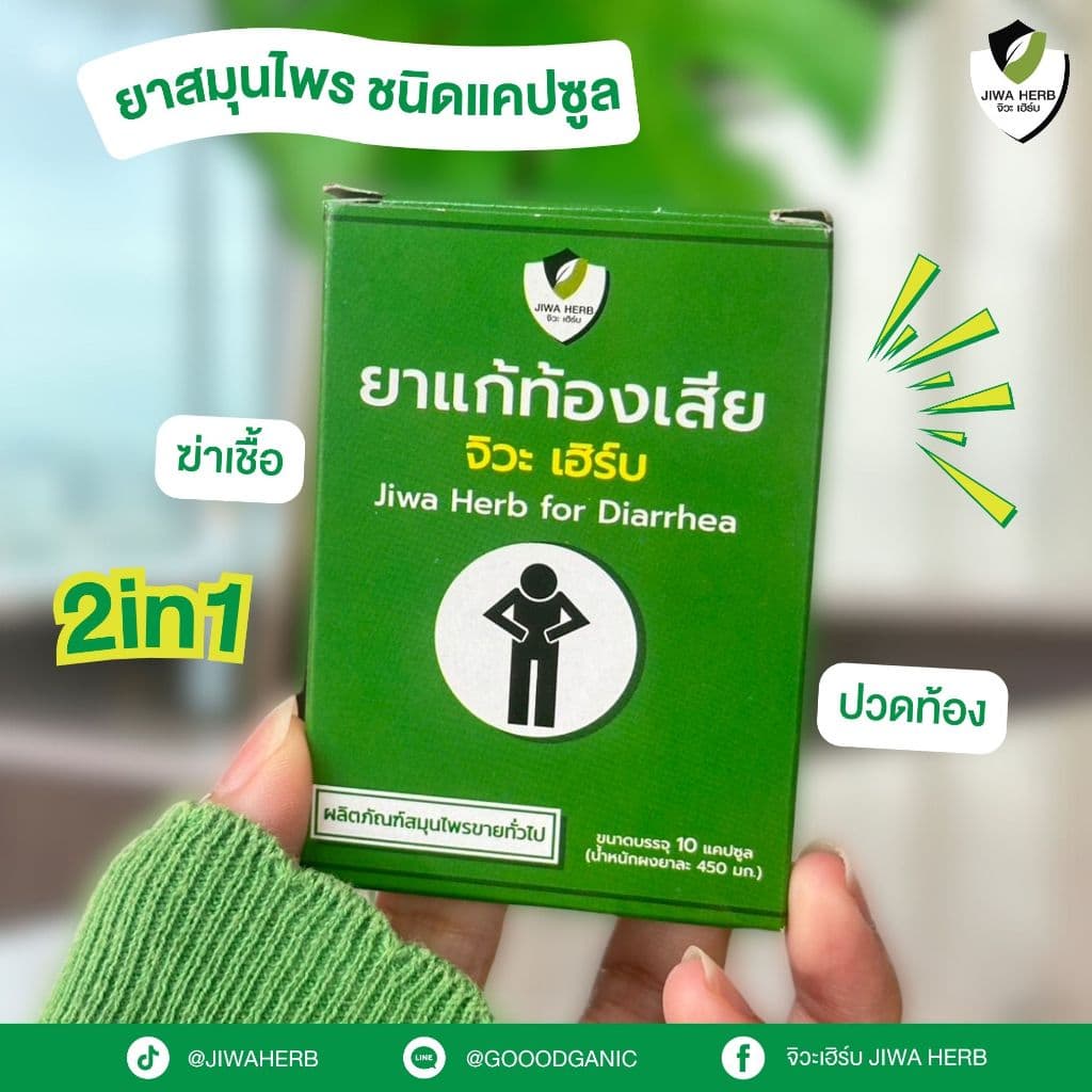 ยาแก้ท้องเสีย ปวดท้อง ท้องร่วง ถ่ายเหลว ยาสามัญประจำบ้าน ยาสมุนไพรแก้ท้องเสีย : จิวะเฮิร์บ รูปที่ 1