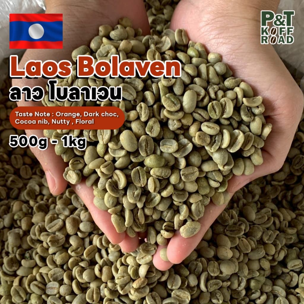 สารกาแฟ ลาว Laos Bolaven . 500g-1 kg. P&T KoffRoad . สั่งซื้อเกิน 20kg. ทักแชท รูปที่ 1