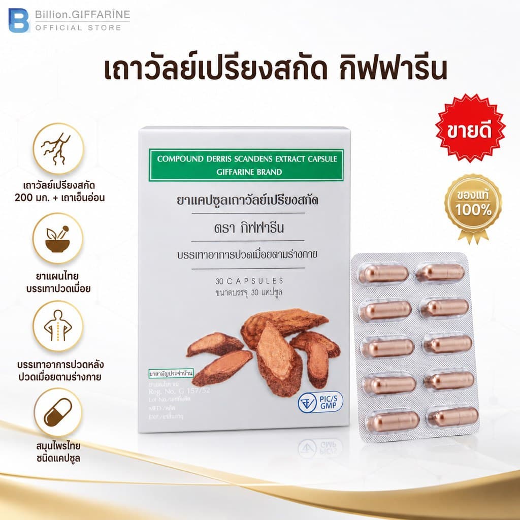 เถาวัลย์เปรียงสกัด ตรา กิฟฟารีน ยาแผนโบราณ ยาสามัญประจำบ้าน บรรเทาอาการปวดเมื่อย ปวดหลัง รูปที่ 1