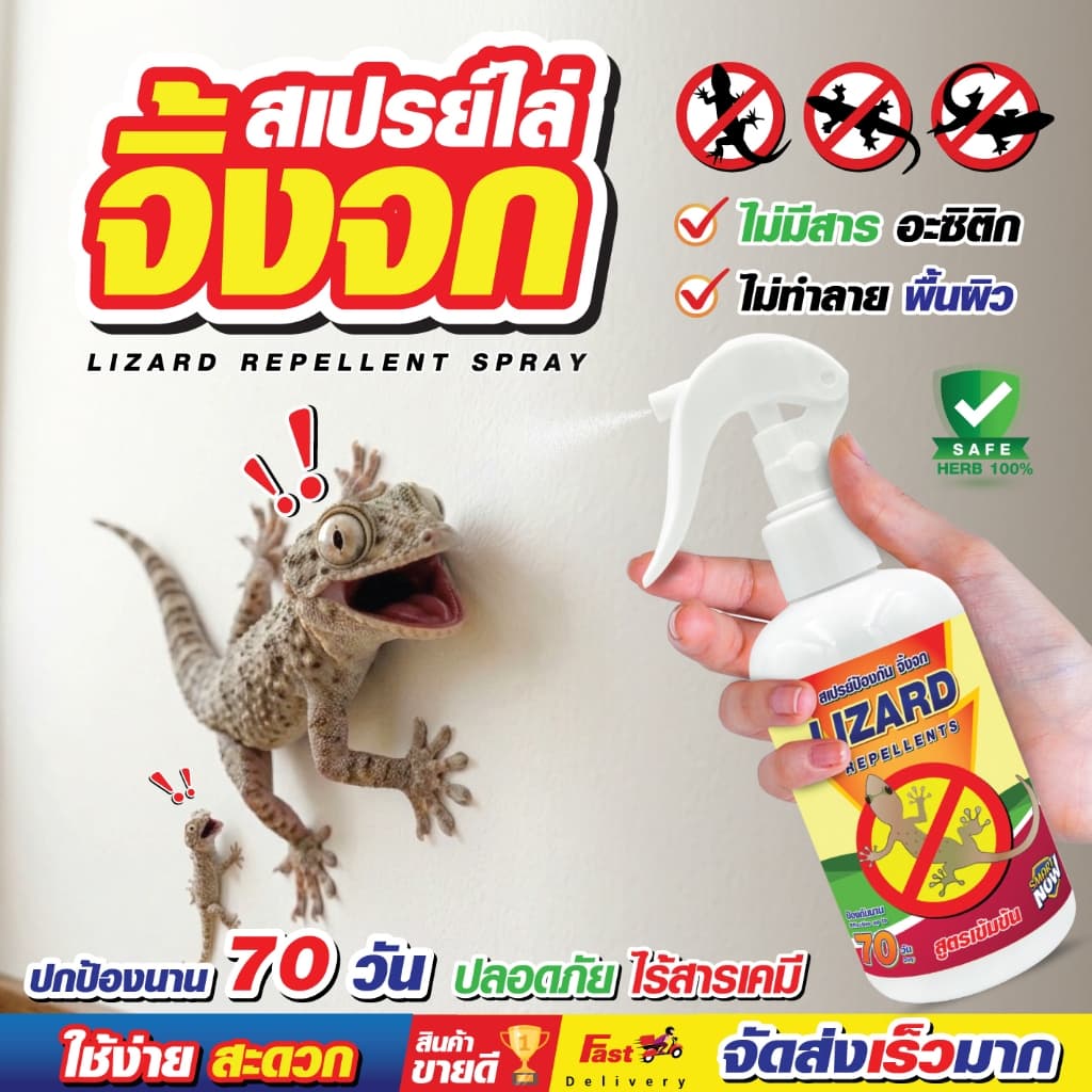 ไล่จิ้งจก สเปรย์ป้องกันจิ้งจกขี้ ฉีดพ่นตามเพดาน กำแพง ซึมลึก นาน70วัน
