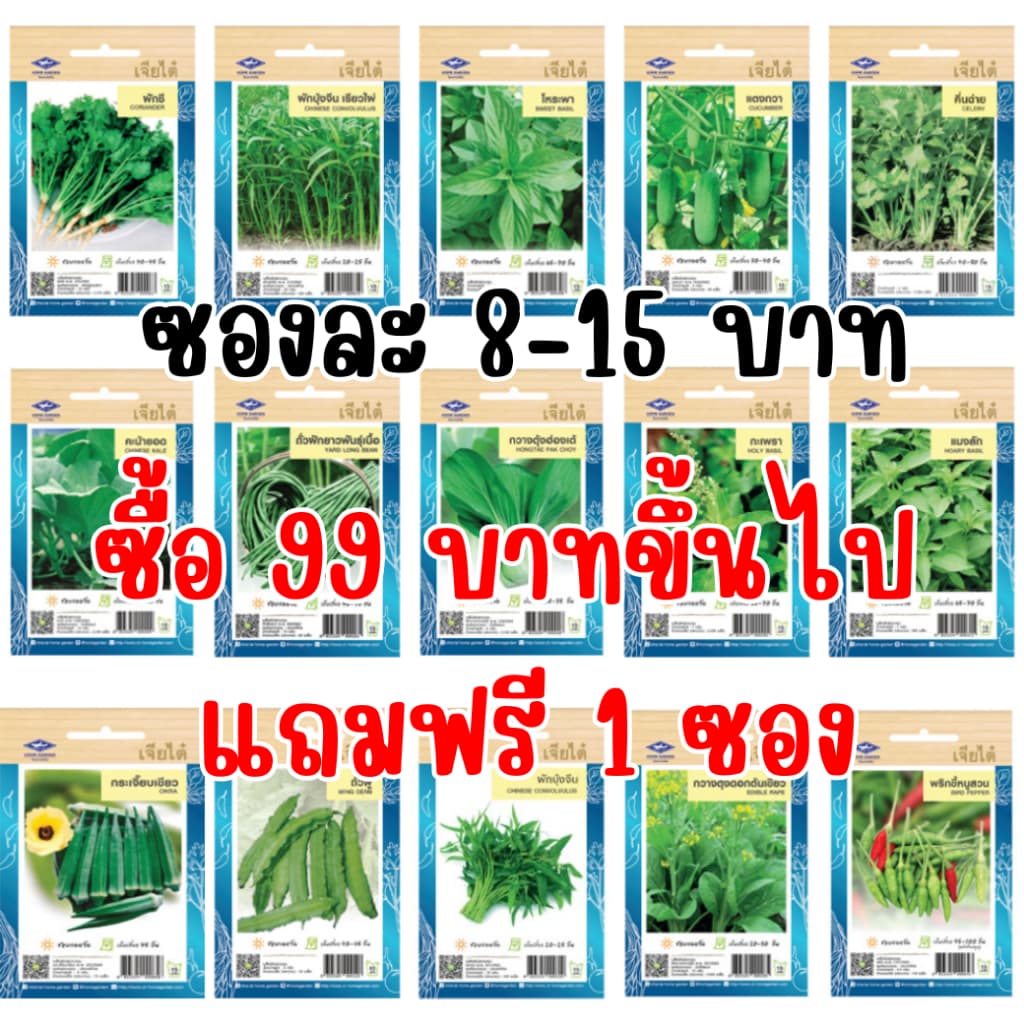 เมล็ดผักเจียไต๋ OP ของแท้ ซองละ 8-15 บาท ซื้อยอด 99 บาทขึ้นไปแถมฟรี 1 ซอง