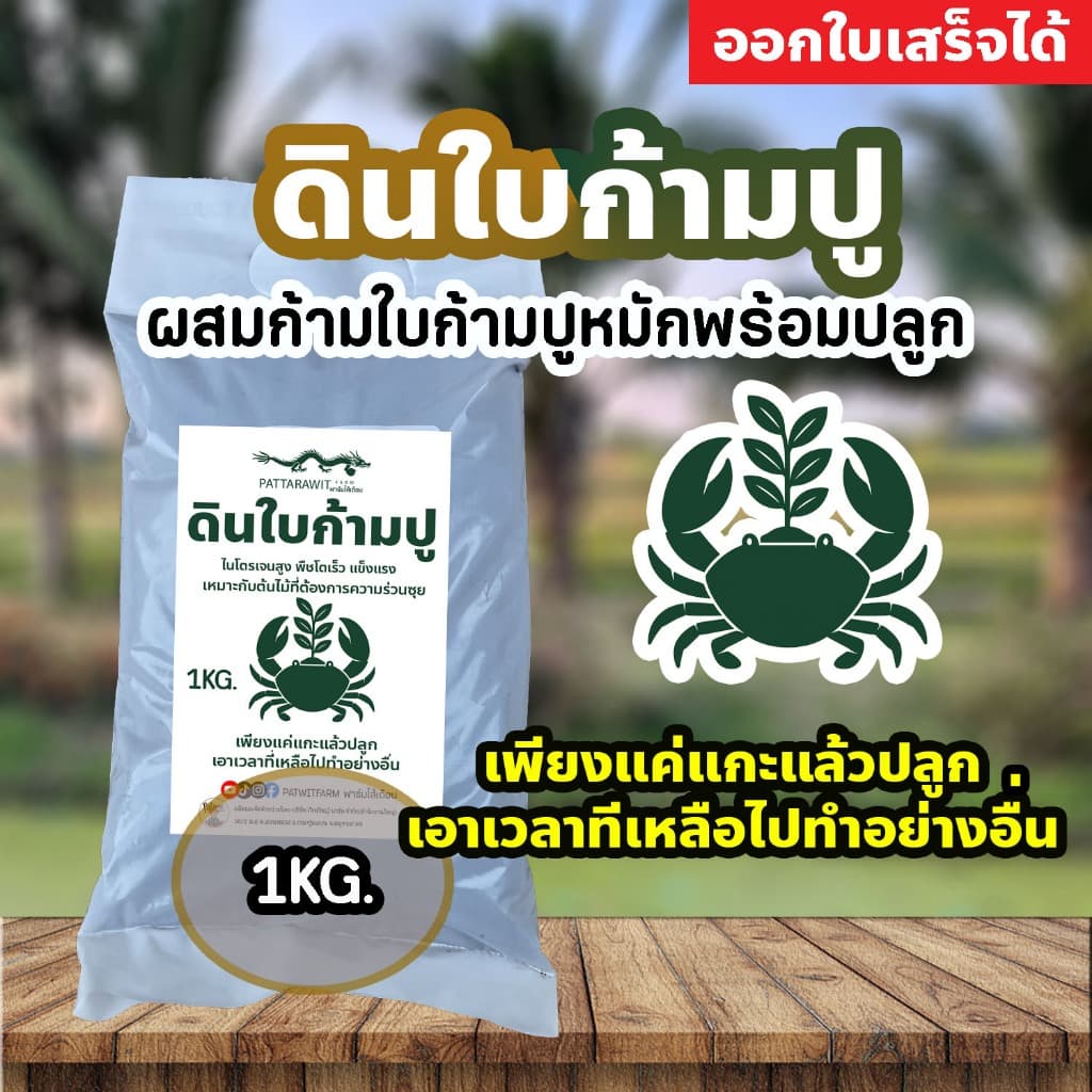 (3ถุง50ส่งฟรี)ดินใบก้ามปู ผสมก้ามปูหมักพร้อมปลูก เพียงแค่แกะแล้วปลูกเอาเวลาที่เหลือไปทำอย่างอื่น ไนโตรเจนสูง…