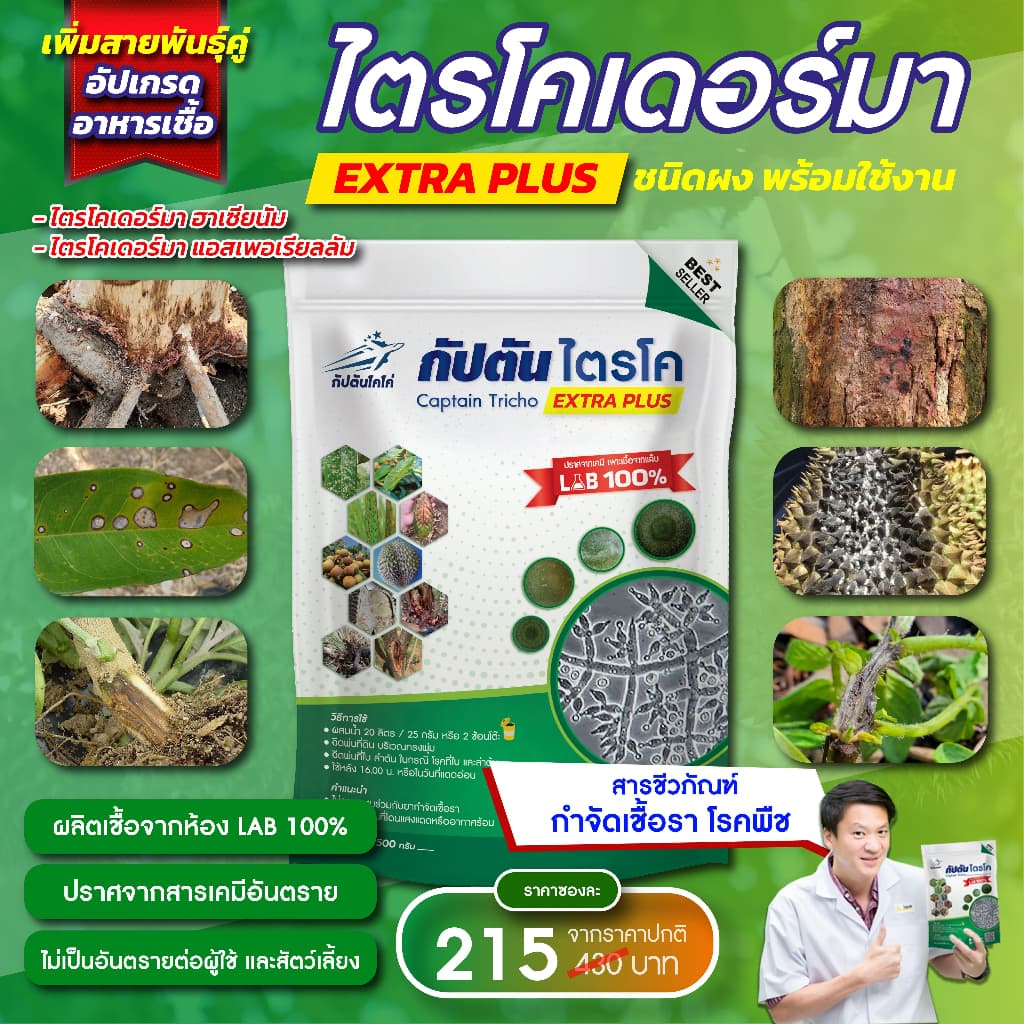กัปตันไตรโค ไตรโคเดอร์ม่า สายพันธุ์คู่ สูตรเข้มข้น แบบผง(500กรัม) ปลอดภัย 100 %