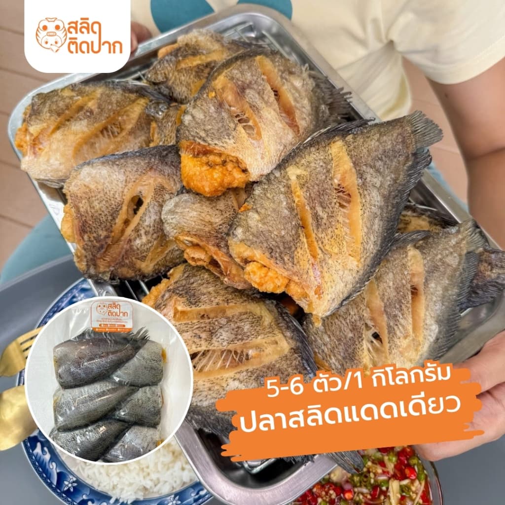สลิดติดปาก ปลาสลิดแดดเดียว 5-6 ตัว/โล | ปลาสลิดไข่บางบ่อ ตัวโต สด สะอาด เนื้อแน่นหอมมัน