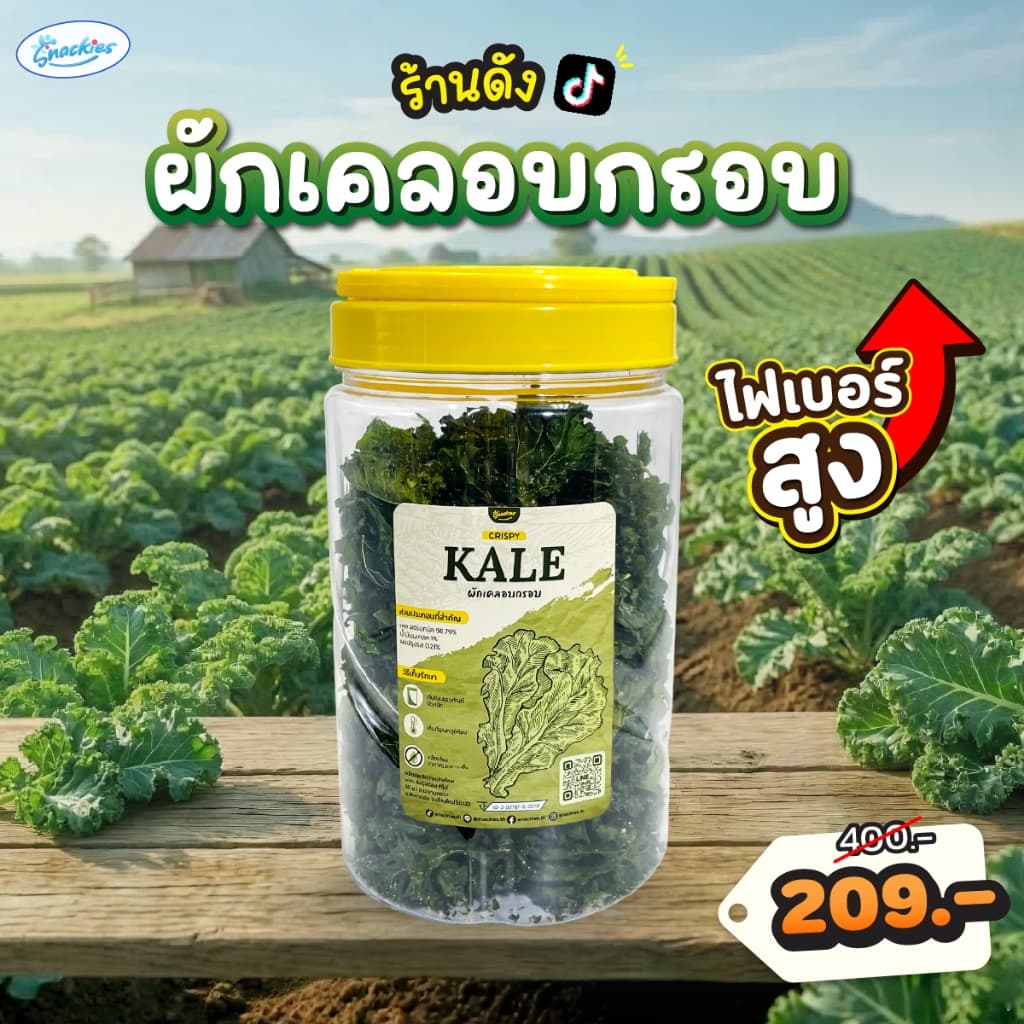 ผักเคลอบกรอบ 1 ถัง ออร์แกนิก ไขมันต่ำ ไม่ทอด กรอบ กินเพลิน ไม่รู้สึกผิด ขนม ของกิน snackies