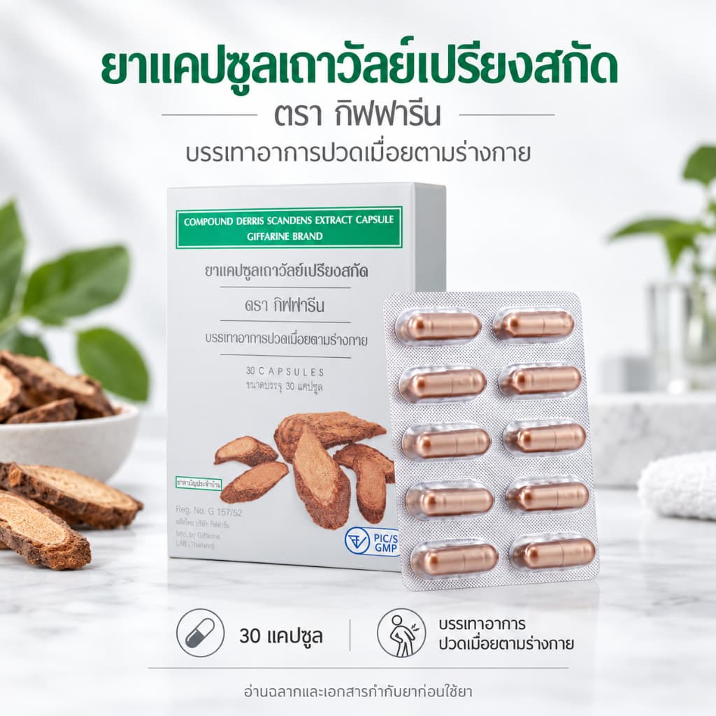 เถาวัลย์เปรียงสกัด ตรา กิฟฟารีน ยาแผนโบราณ ยาสามัญประจำบ้าน Giffarine รูปที่ 1
