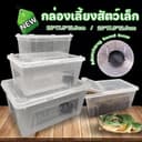 กล่องเลี้ยงสัตว์เล็ก สัตว์เลื้อยคลาน M/L สัตว์เล็ก กล่องเลี้ยงสัตว์ งู กบ แมลง ปลา สัตว์เลื้อยคลาน Reptile Box
