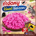 ยาเบื่อหนูแห้ง 200g (10 แพ็ก) กําจัดหนูทั้งรัง พิษหนูทรงพลัง ใช้ในบ้านและนอกบ้าน เหยื่อดักหนู แรง