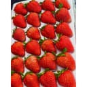 สตอเบอรี่สด ส่งทันที🍓ขนาด20 ลูก คัดก่อนส่งทานได้ทุกลูกเปรี้ยวอมหวาน (ในพื้นที่กทม. ส่งภายใน 4 ชั่วโมง…