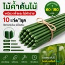 ไม้ค้ําต้นไม้ยาว 60-180ซม 10 ชิ้น วัสดุทําจากเหล็ก เคลือบพลาสติกสีเขียว PE เสามะเขือเทศ ไม้ค้ํายันต้นไม้…
