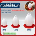 *ค่าส่งถูก* ขวดน้ําไก่ ถังน้ําไก่ ที่ใส่น้ําสําหรับเลี้ยงไก่ กระติกน้ําไก่ เลี้ยงไก่ ขวดน้ํานก เลี้ยงไก่…